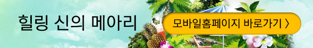 신의 메아리 